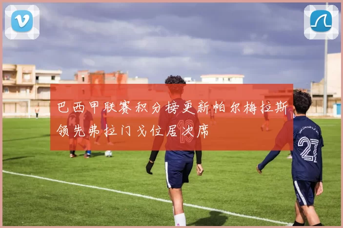 巴西甲联赛积分榜更新帕尔梅拉斯领先弗拉门戈位居次席