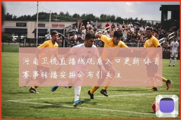 河南卫视直播线观看入口更新 体育赛事转播安排公布引关注