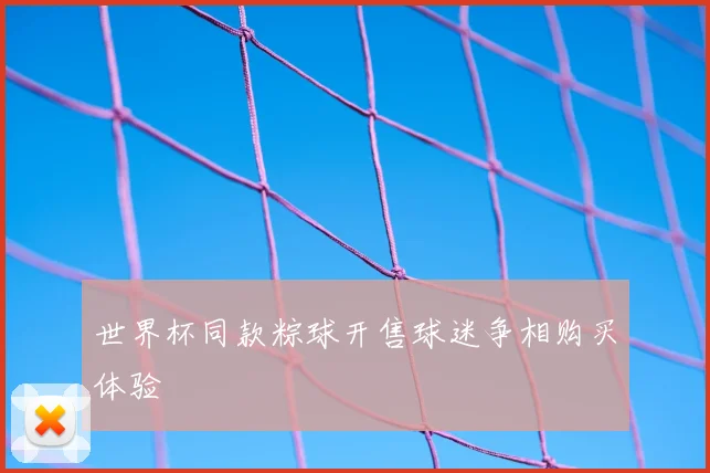 世界杯同款粽球开售球迷争相购买体验
