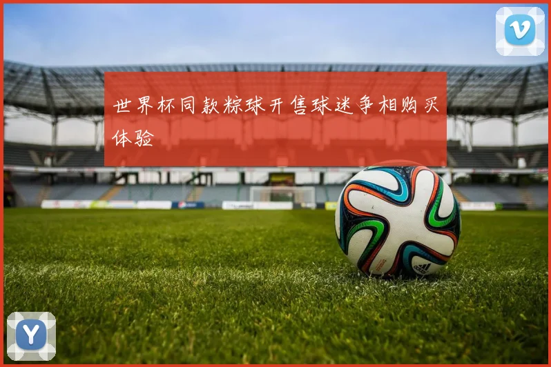 世界杯同款粽球开售球迷争相购买体验