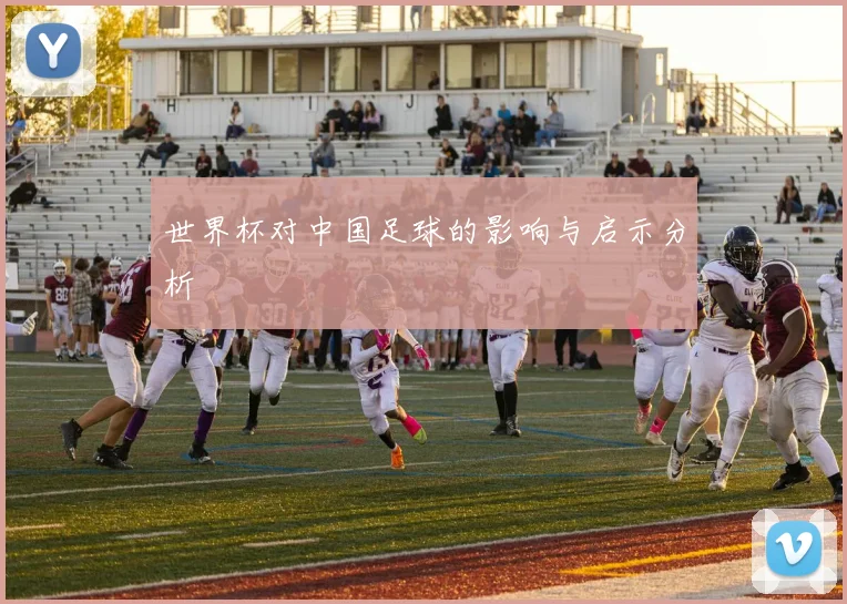 世界杯对中国足球的影响与启示分析
