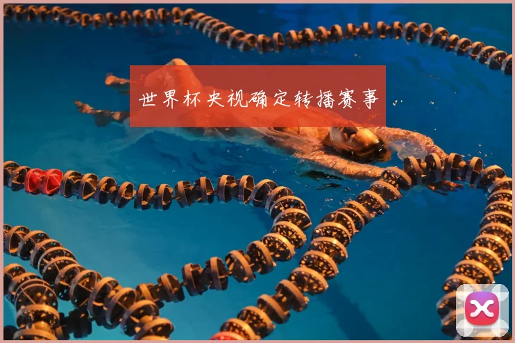 世界杯央视确定转播赛事