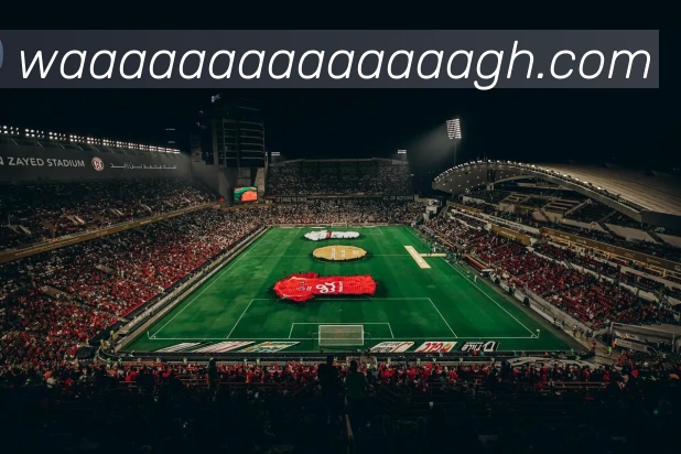 完美体育(中国)官方网站 - 登录入口平台生态图