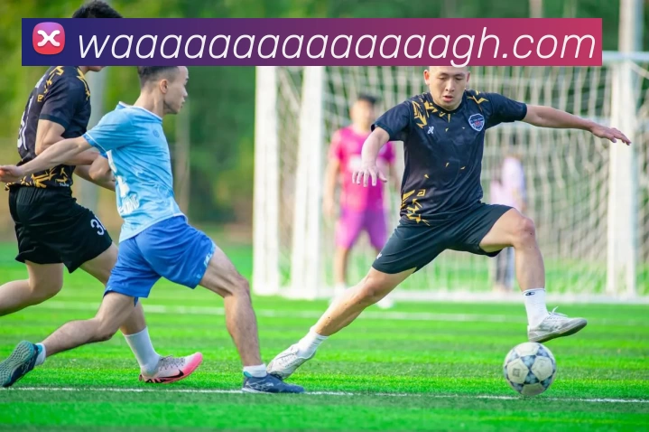 完美体育(中国)官方网站 - 登录入口APP 封面图